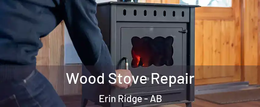  Wood Stove Repair Erin Ridge - AB