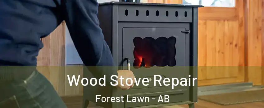  Wood Stove Repair Forest Lawn - AB